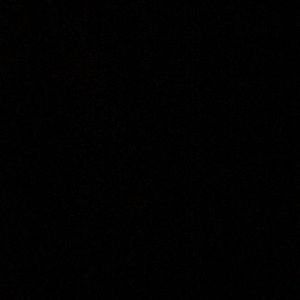 Meet your Posher, Jackson